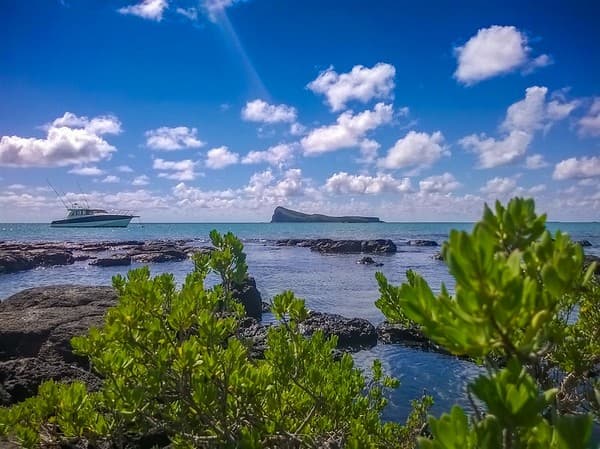 Coin de Mire (Gunner’s Quoin)