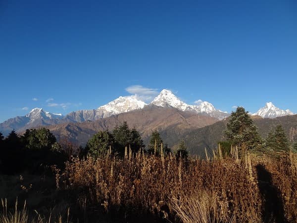 Ghorepani–Poon Hill Sunrise Trek Photo 2
