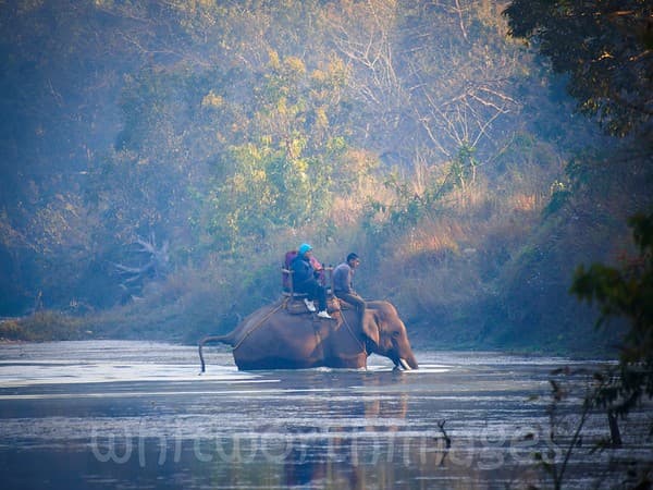 Bardia National Park Safari Photo 3
