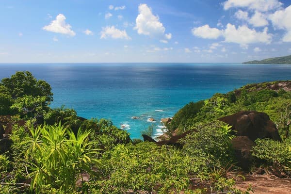 Snorkeling in Sainte Anne Marine National Park Photo 1