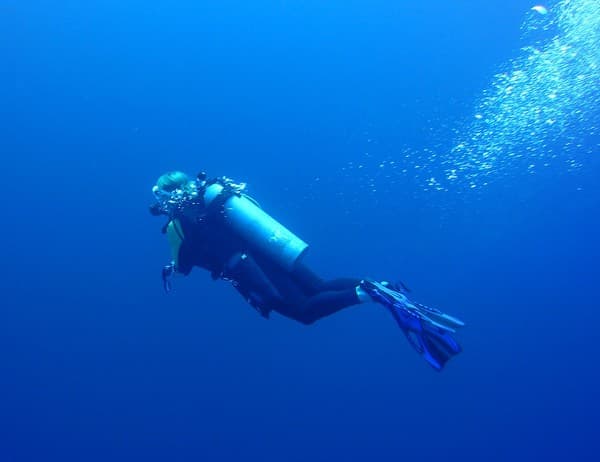 Scuba diving at Shark Bank and Brissare Rocks Photo 1