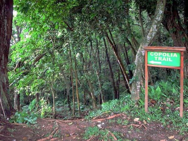 Hike the Copolia Trail