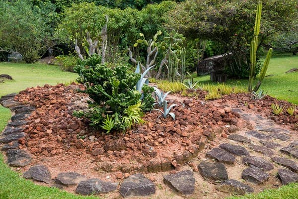 Stroll Seychelles National Botanical Gardens Photo 3