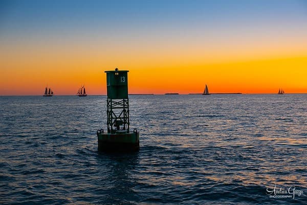 Sunset catamaran cruise Photo 2