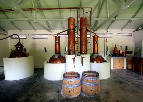 Takamaka Rum Distillery tour and tasting Photo 3