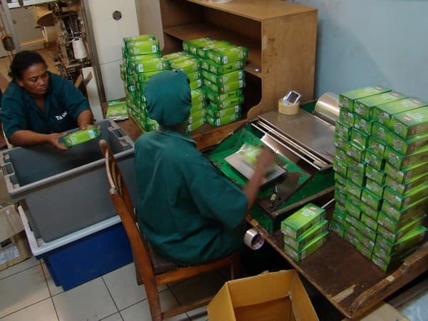 Seychelles Tea Factory visit and vista point Photo 3