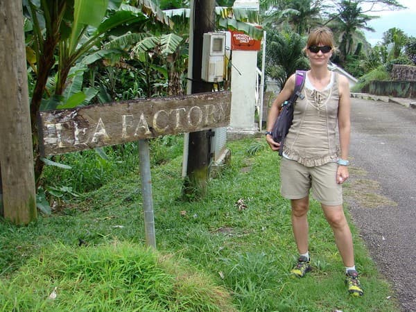 Seychelles Tea Factory visit and vista point Photo 2