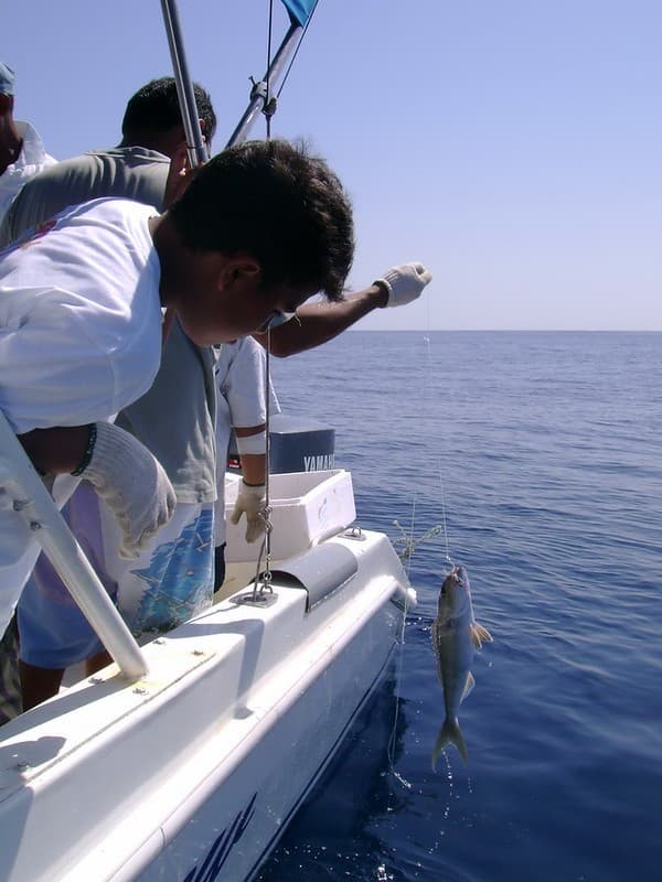 Deep‑sea/big‑game fishing charter Photo 3