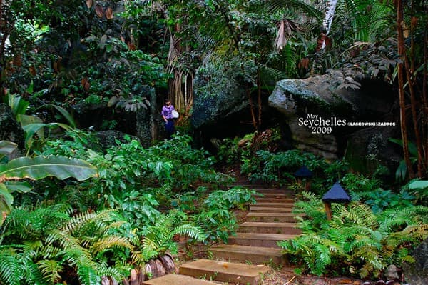 Spa day with coco‑de‑mer inspired treatments Photo 2