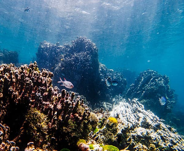 Day trip to St Pierre islet for snorkeling Photo 1