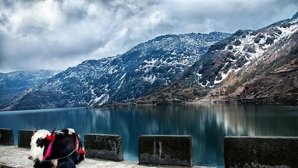 Tsomgo (Changu) Lake visit and lakeside walk Photo 2