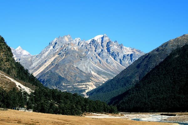Yumthang Valley (Valley of Flowers) meadows and views Photo 3