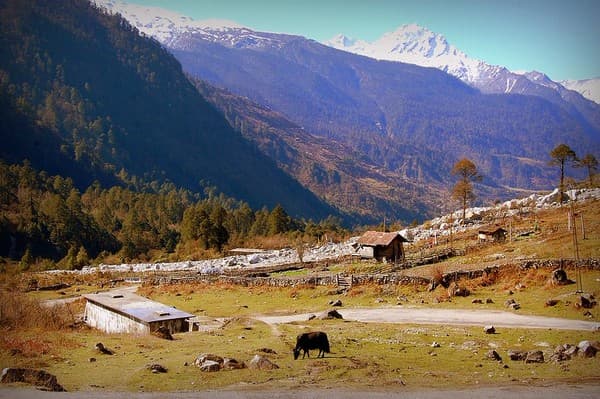 Yumthang Valley (Valley of Flowers) meadows and views Photo 2