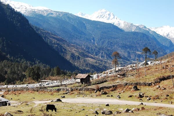 Yumthang Valley (Valley of Flowers) meadows and views