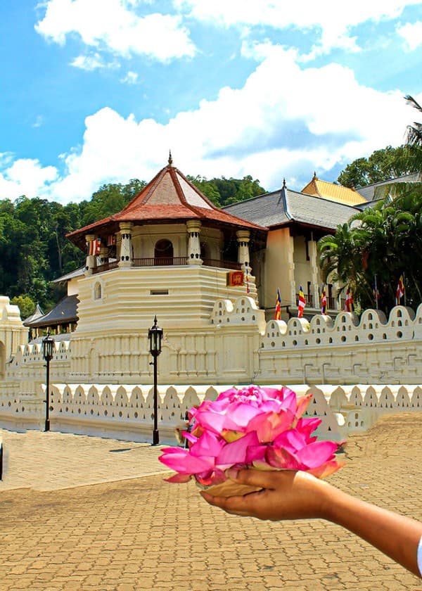 Visit Temple of the Sacred Tooth Relic