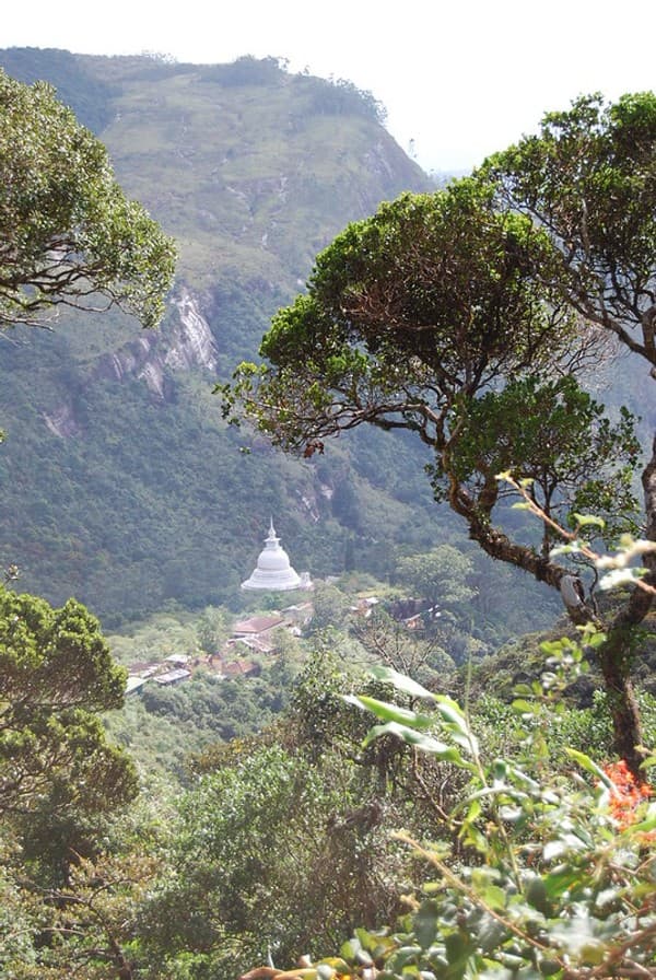 Pilgrimage hike to Adam’s Peak (Sri Pada) Photo 2