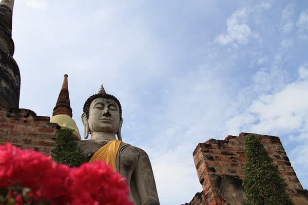 Ayutthaya Historical Park cycling tour