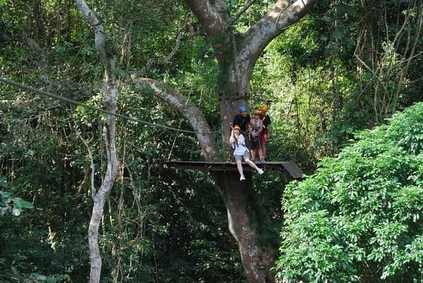 Rainforest zipline adventure (Flight of the Gibbon) Photo 2
