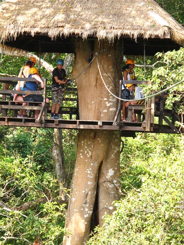 Rainforest zipline adventure (Flight of the Gibbon) Photo 3