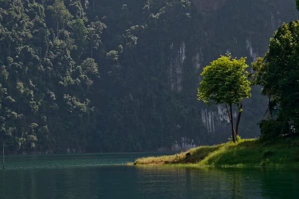 Khao Sok National Park lake stay (Cheow Lan Lake) Photo 2