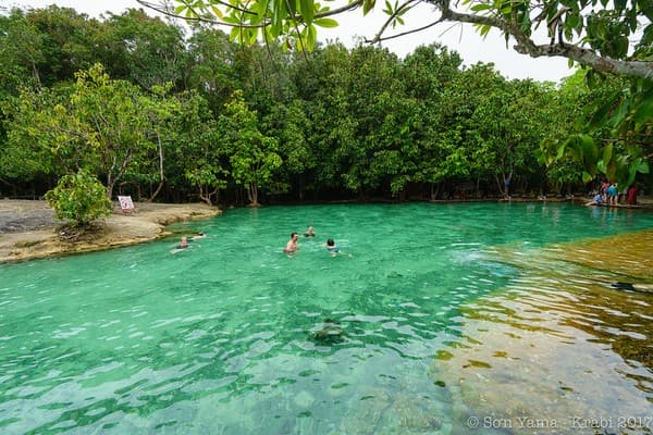 Emerald Pool & Hot Springs Photo 2