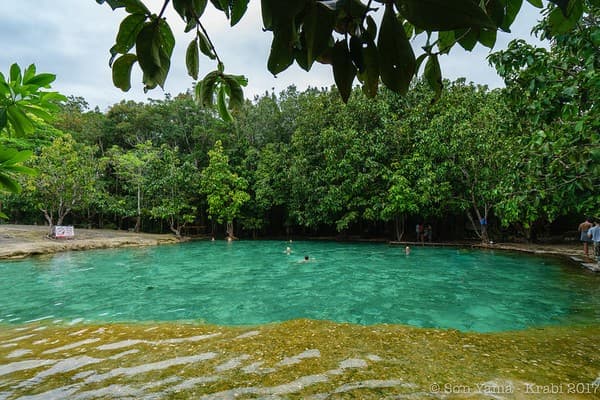 Emerald Pool & Hot Springs Photo 1