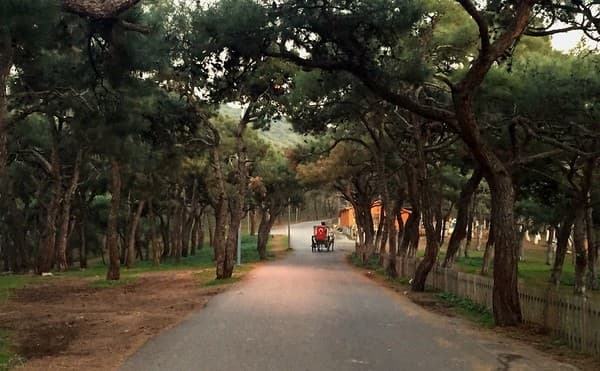 Princes’ Islands day trip Photo 3