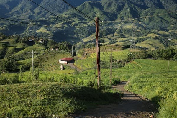 Trek terraced rice fields around Sapa Photo 1