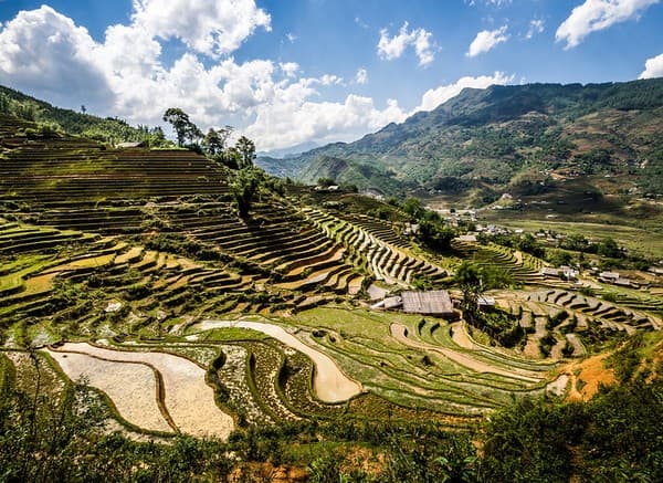 Trek terraced rice fields around Sapa Photo 3