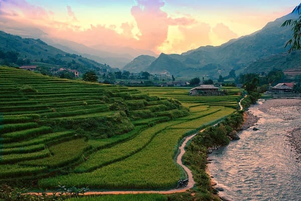 Trek terraced rice fields around Sapa