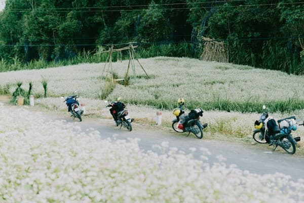Motorbike the Ha Giang Loop Photo 1