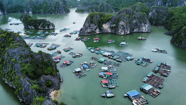 Explore the scenic floating villages amidst the limestone karsts of Hai Phong, Vietnam. A drone's eye view of island life. Explore the scenic floating villages amidst the limestone karsts of Hai Phong, Vietnam. A drone's eye view of island life.