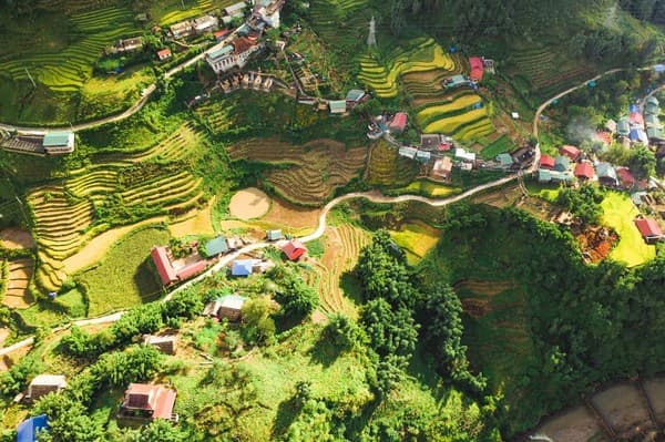 Sapa rice fields