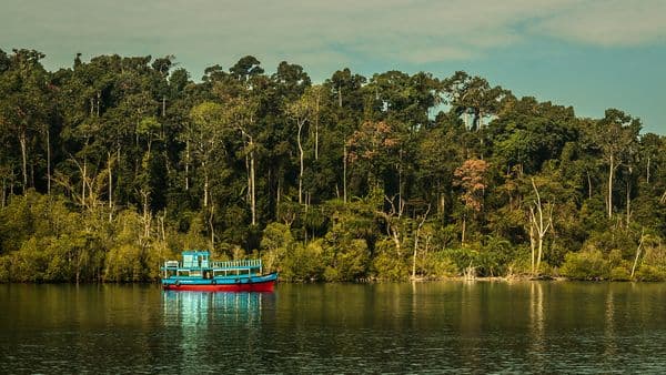 Baratang Island - Andaman, India
