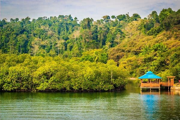 Baratang Island - Andaman, India