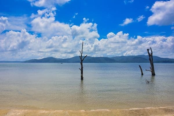 Way To Chidiya Tapu, Andaman