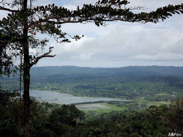 From Watchtower at Mahatma Gandhi National Park