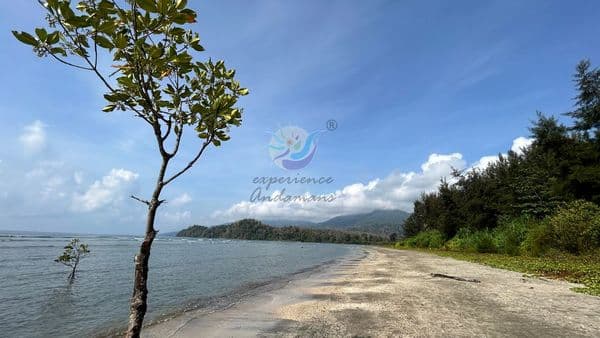 Kalipur beach andaman