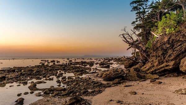 Laxmanpur beach, Neil Island