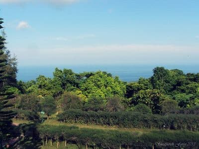 Madhuban Nature Trail