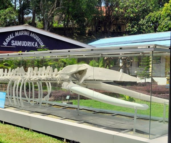 Samudrika Marine Museum