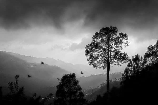 Chail, Himachal Pradesh