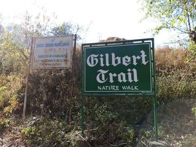 Gilbert Trail, Kasauli