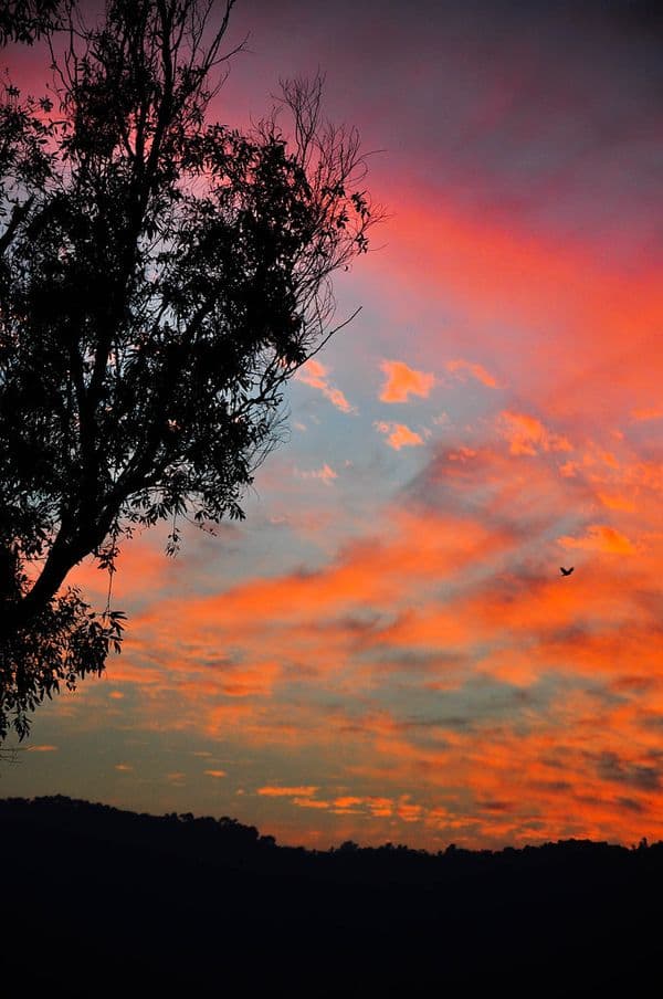 Beautiful Sunset over Gobind Sagar Lake, Bilaspur, Himachal Pradesh
