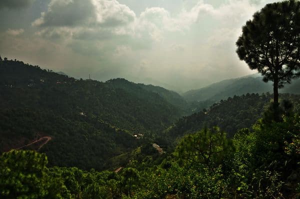 Kasauli