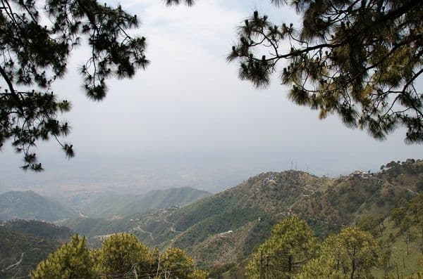Kasauli