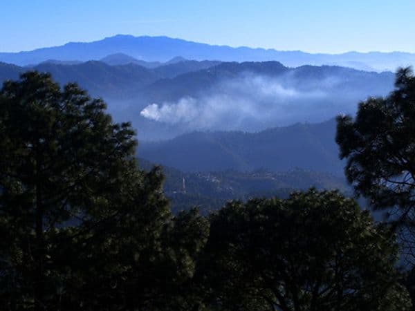 Kasauli Hill View