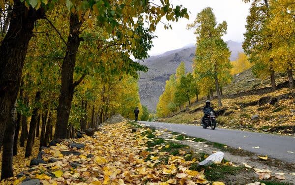 Autumn colors at Sissu : On the way from Tandi to Rothang Pass through Leh-Manali hihgway, Lahul-Spiti valley, Himachal Pradesh, India.  [EXPLORED]