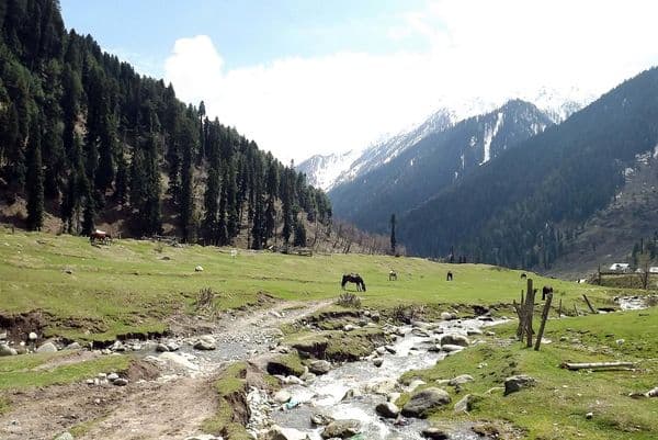 Aru Valley Pahalgam