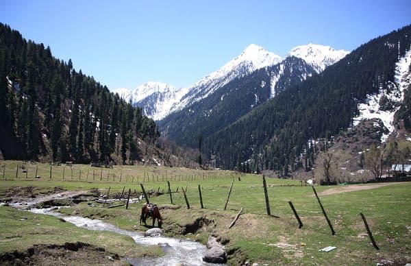 Aru valley